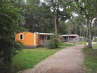 Oranje huisje, Lupine 1
