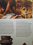 Bij Hunebed (2)