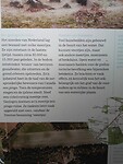 Bij Hunebed (5)