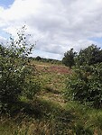 Onderweg (16)