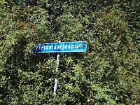 Onderweg (17)