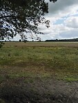 Onderweg (19)