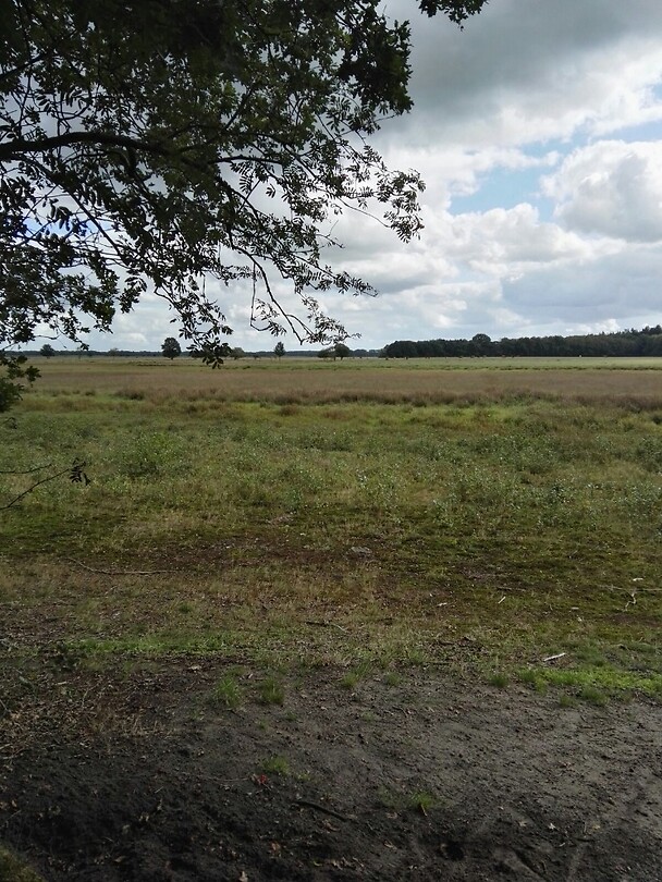 Onderweg (19)