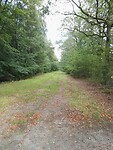 Onderweg (21)