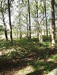 Onderweg (22)