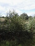 Onderweg (23)