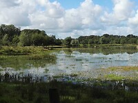 tussen Gees en Meppen (1)