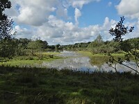 tussen Gees en Meppen (2)