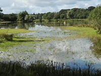 tussen Gees en Meppen (3)