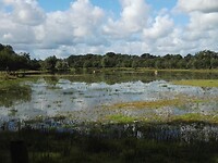 tussen Gees en Meppen (4)