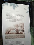 Bronneger (13)