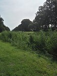 IMG_20210803_101722