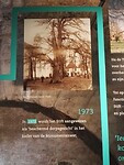 IMG_20210803_104110