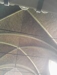 IMG_20210803_104150