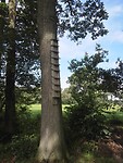 IMG_20210803_105453