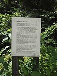 IMG_20210803_111448