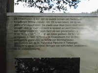 IMG_20210803_112328