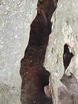 IMG_20210803_112412