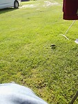 IMG_20210804_093105
