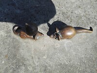 IMG_20210804_103824