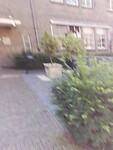 IMG_20210804_105454