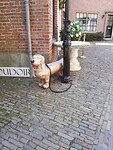 IMG_20210804_105718