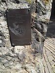 IMG_20210804_110424