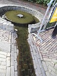 IMG_20210804_111301