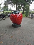 IMG_20210805_121119