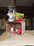 IMG_20210805_121241