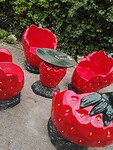 IMG_20210805_123055