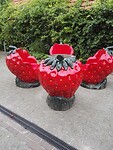 IMG_20210805_123101