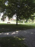 IMG_20210805_152317