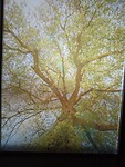 IMG_20210809_182544