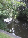 IMG_20210811_111826