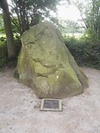 IMG_20210811_111941