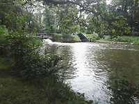 IMG_20210811_113019