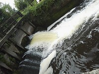 IMG_20210811_113204
