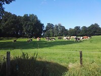 IMG_20210812_095002