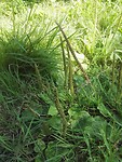 IMG_20210812_111903