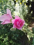 IMG_20210812_111923