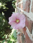 IMG_20210812_111934