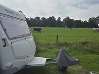 IMG_20210812_155134