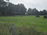 IMG_20210812_155149