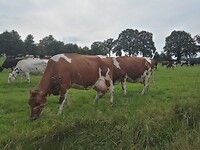 IMG_20210812_171013