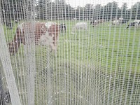 IMG_20210812_171155