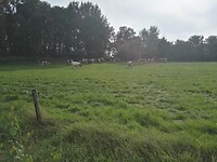 IMG_20210812_174742