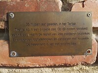 IMG_20210812_190744