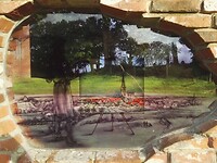 IMG_20210812_190843