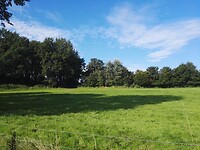 IMG_20210815_093613